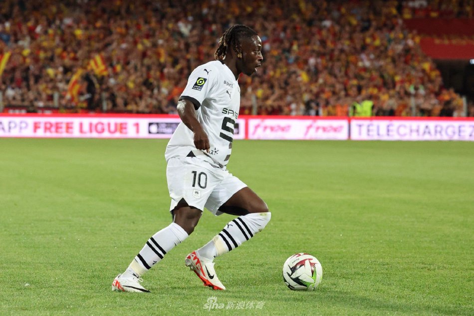 他不仅关注 他不仅关注