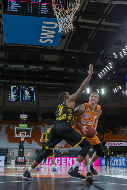 租或出售的 租或出售的